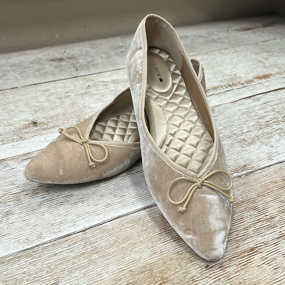Birdies Goldfinch Pointed Toe Ballet Flat Shoe - Picture 1 of 8